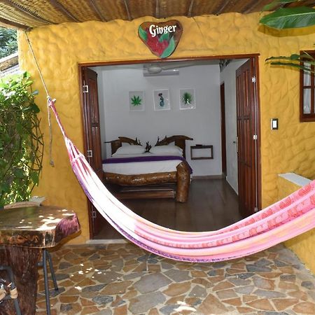Eco Hostal Kuima الزينو المظهر الخارجي الصورة
