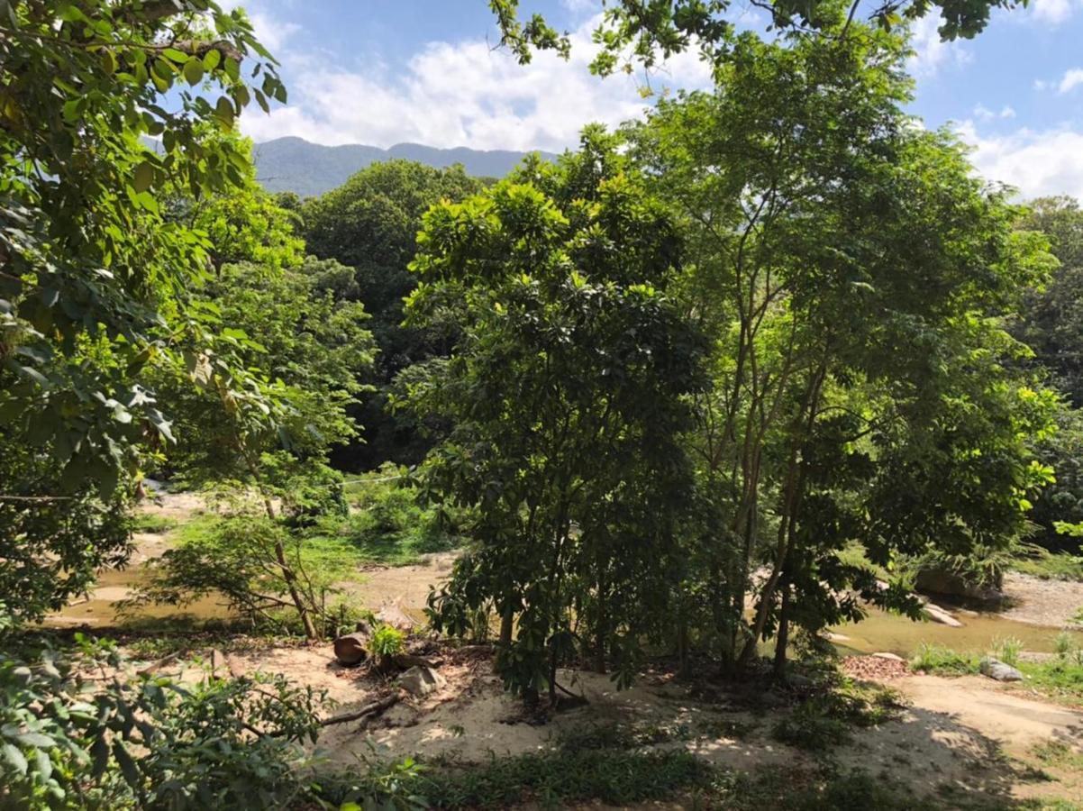 Eco Hostal Kuima الزينو المظهر الخارجي الصورة