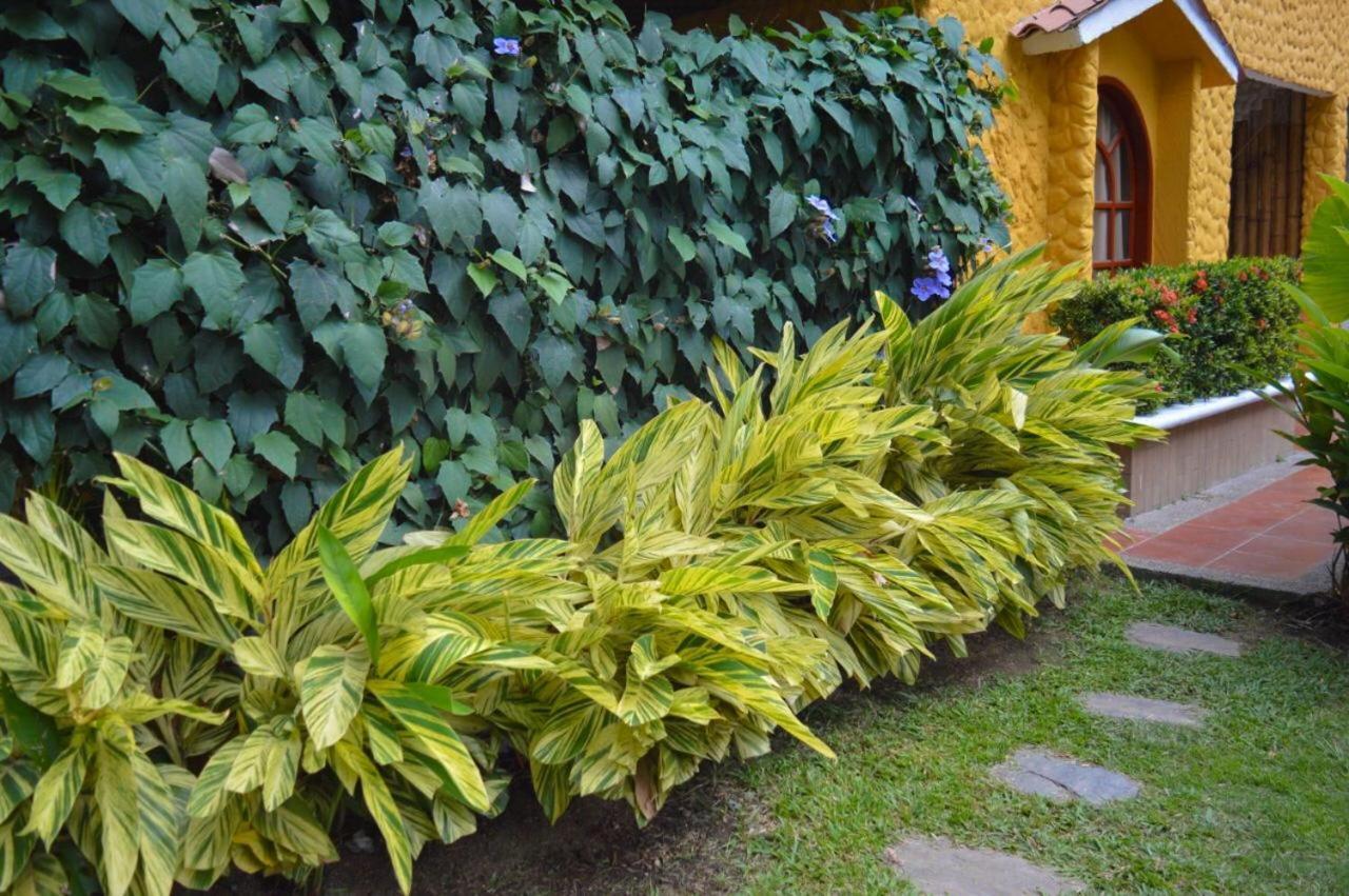 Eco Hostal Kuima الزينو المظهر الخارجي الصورة