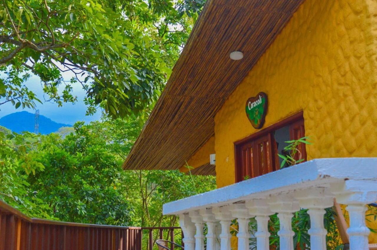Eco Hostal Kuima الزينو المظهر الخارجي الصورة