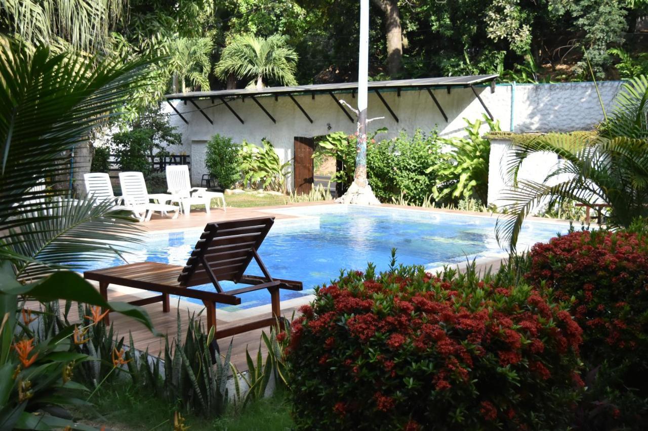Eco Hostal Kuima الزينو المظهر الخارجي الصورة