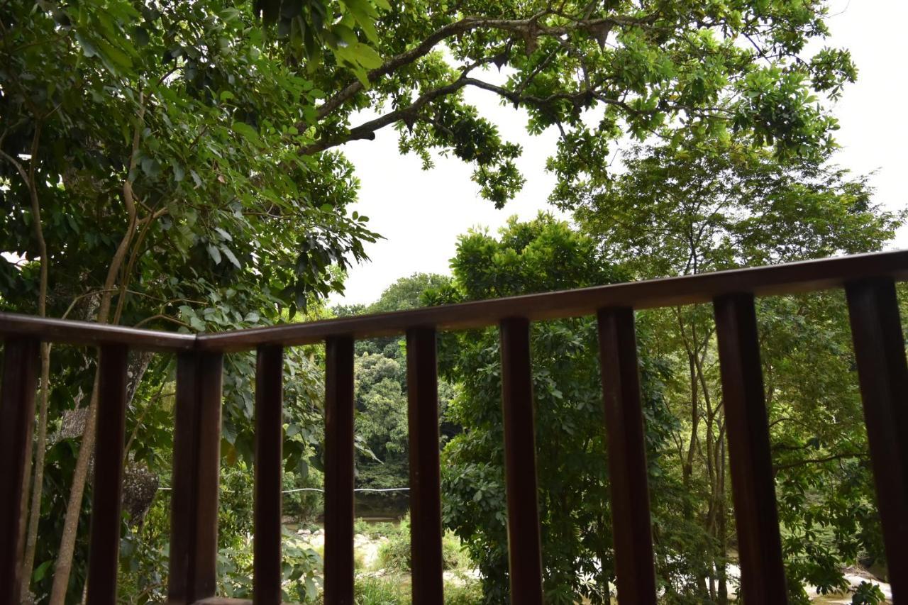 Eco Hostal Kuima الزينو المظهر الخارجي الصورة