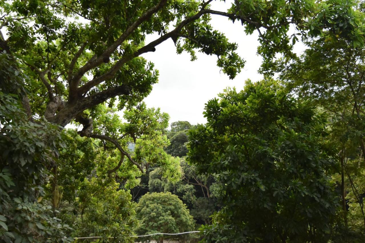 Eco Hostal Kuima الزينو المظهر الخارجي الصورة